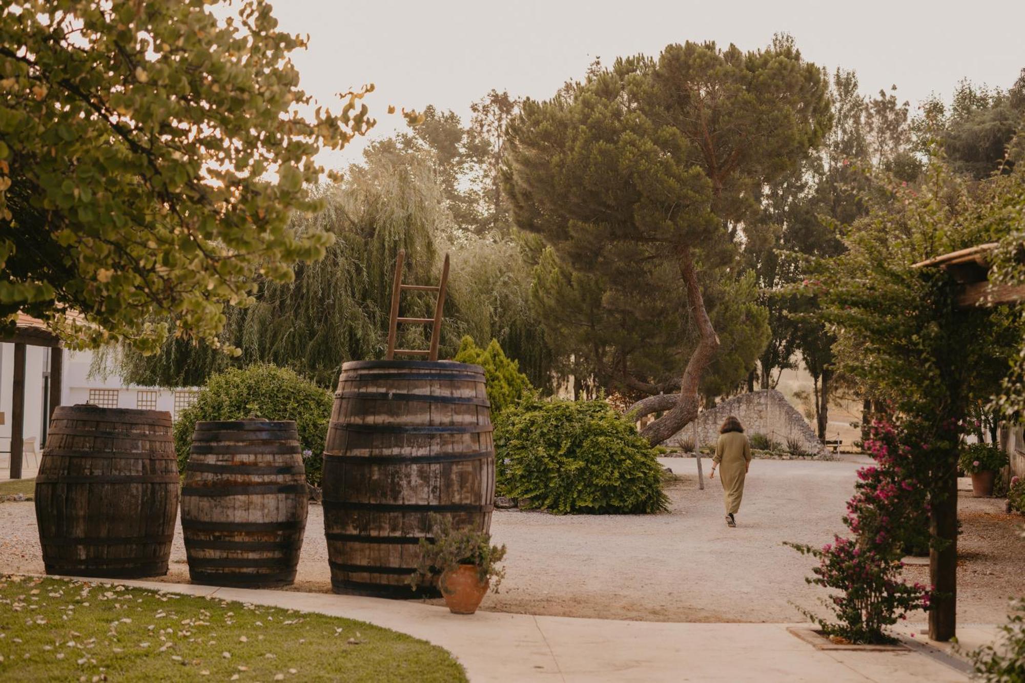 Quinta Carvalhas - The Green Farm Hotel Casevel Екстериор снимка