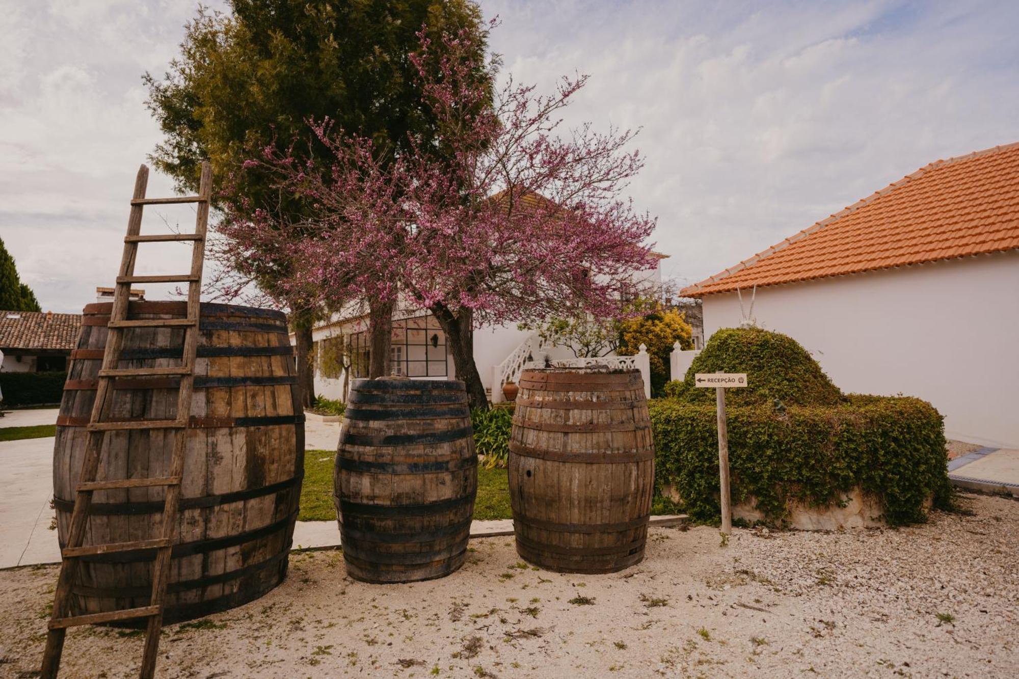 Quinta Carvalhas - The Green Farm Hotel Casevel Екстериор снимка