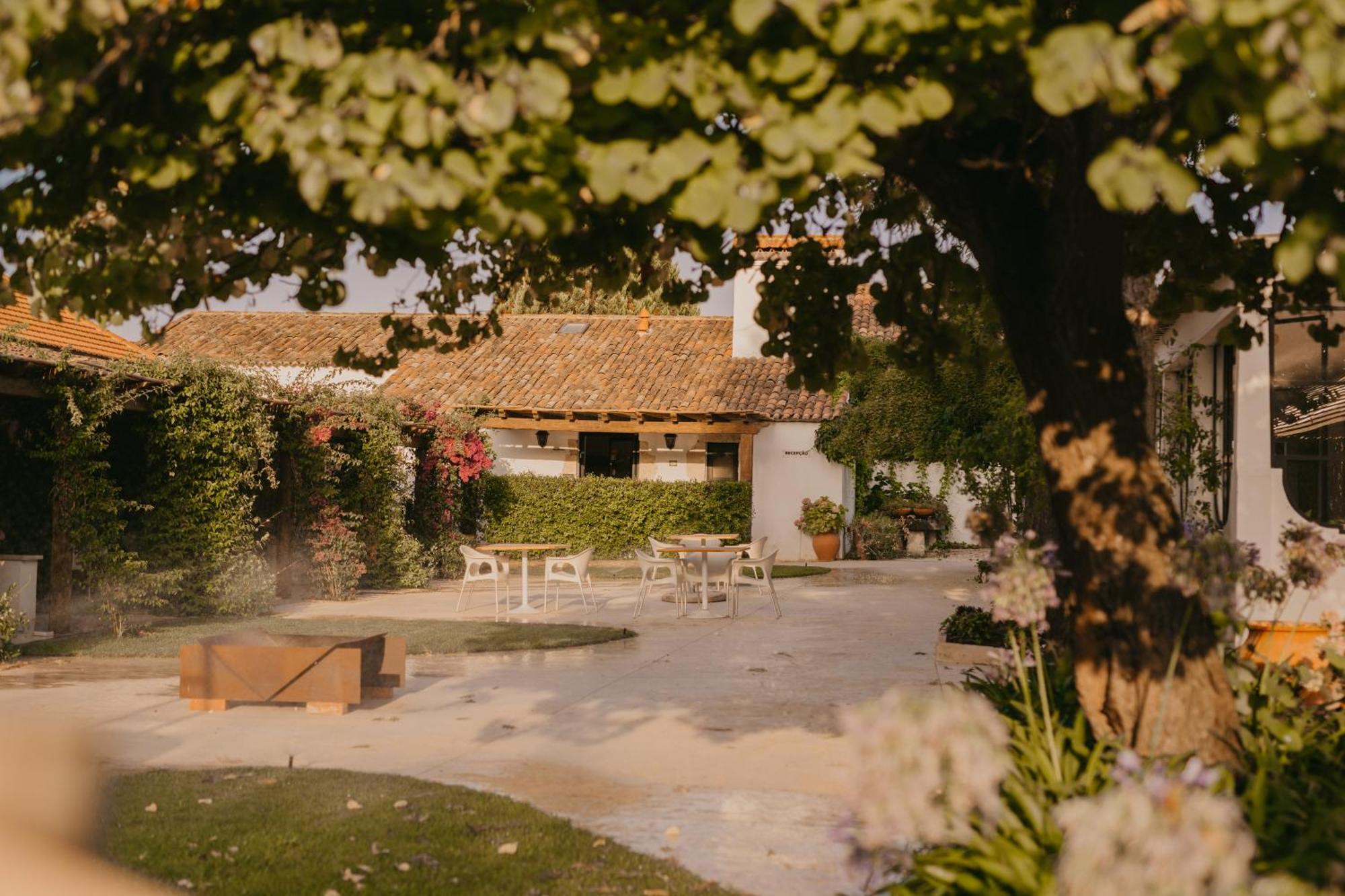 Quinta Carvalhas - The Green Farm Hotel Casevel Екстериор снимка