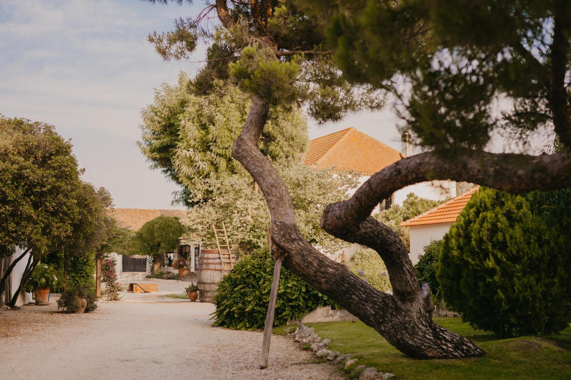 Quinta Carvalhas - The Green Farm Hotel Casevel Екстериор снимка