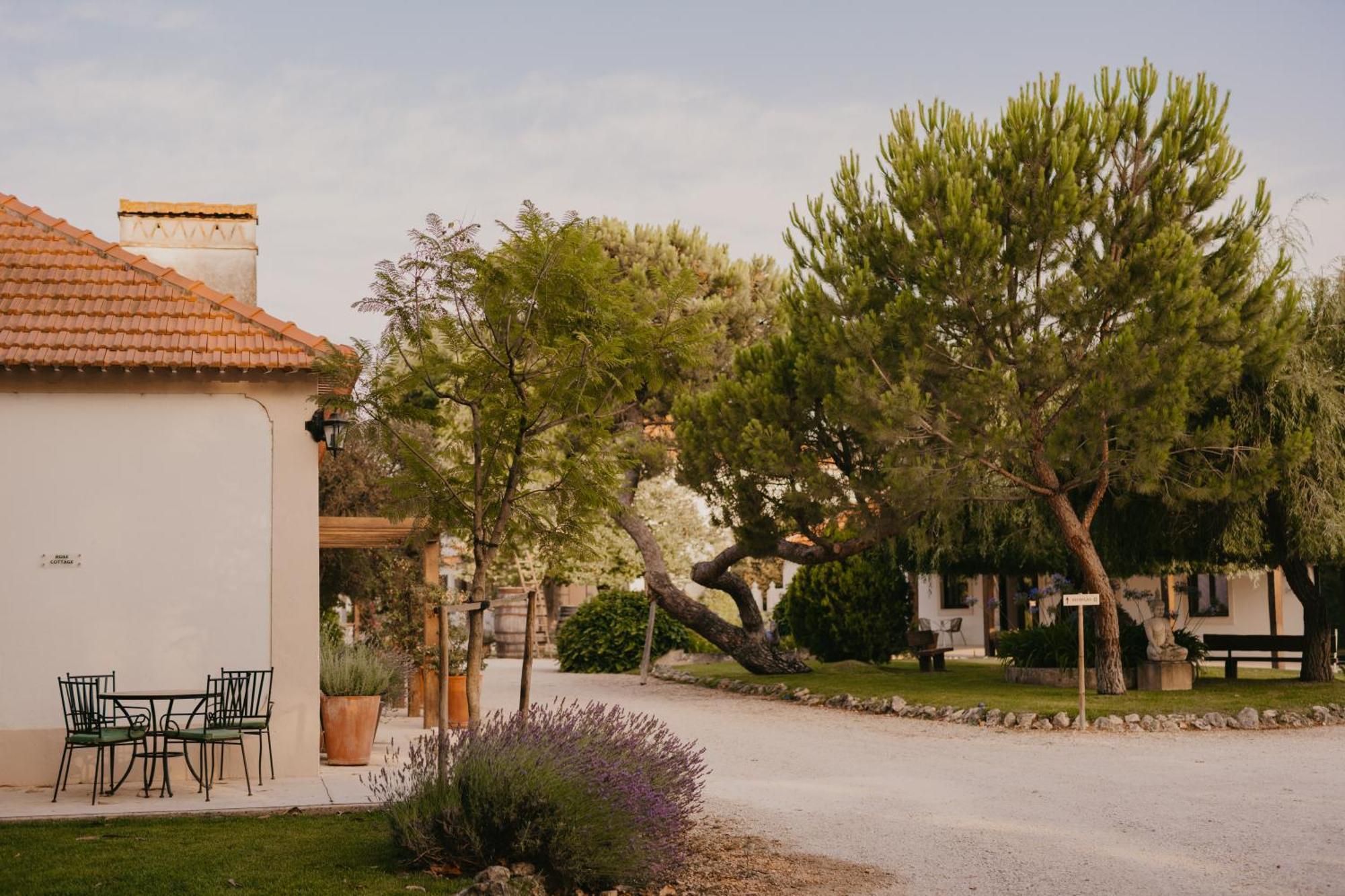 Quinta Carvalhas - The Green Farm Hotel Casevel Екстериор снимка