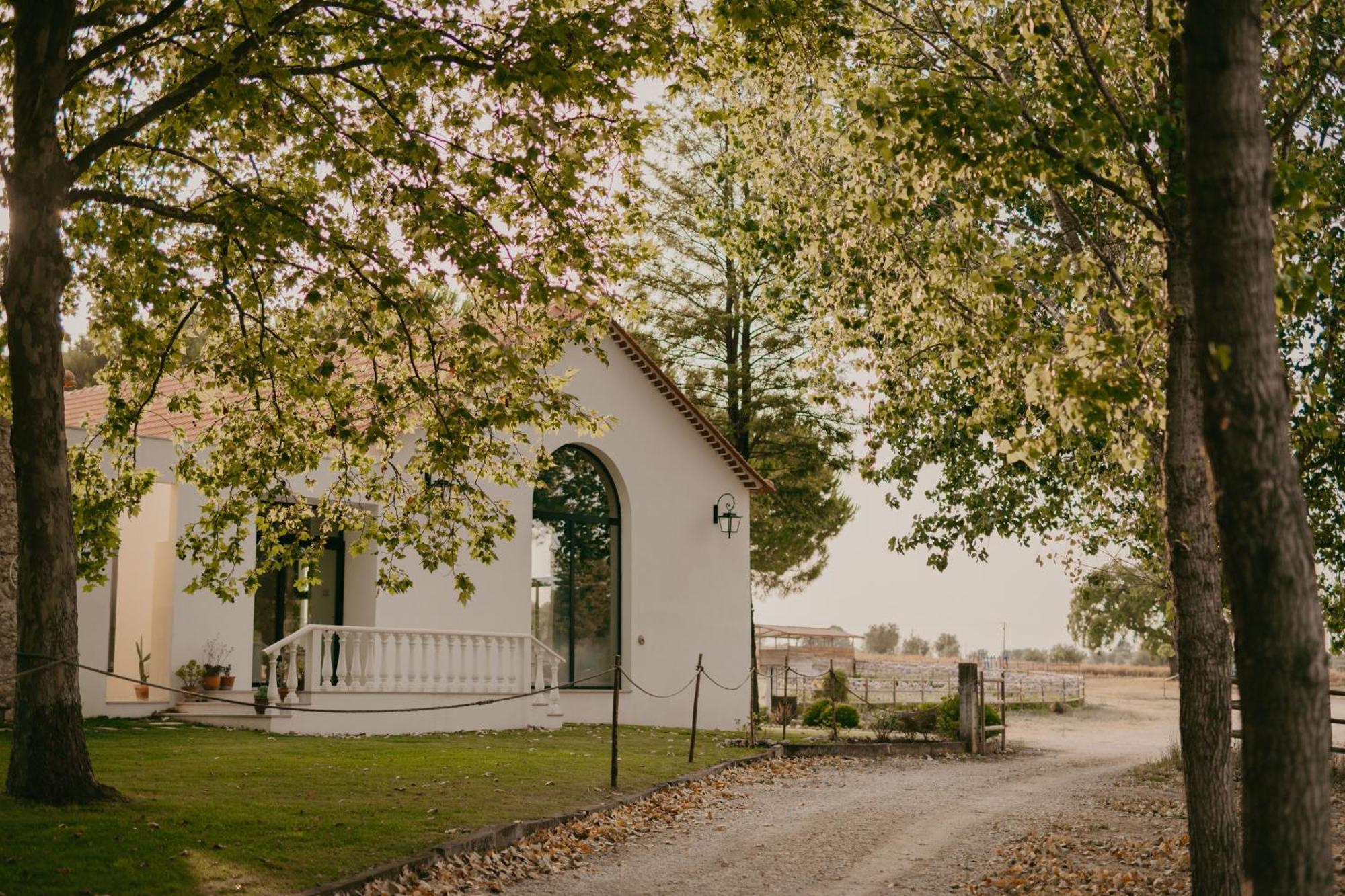 Quinta Carvalhas - The Green Farm Hotel Casevel Екстериор снимка